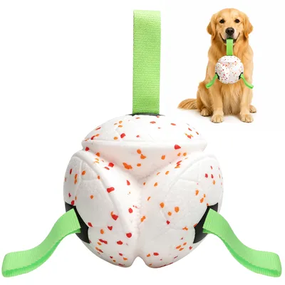 Nobleza Perro Pelota Interactiva