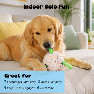 Nobleza Perro Pelota Interactiva