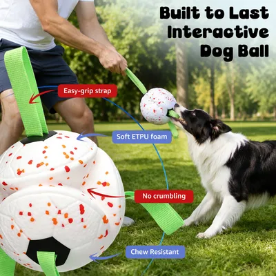 Nobleza Perro Pelota Interactiva
