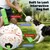 Nobleza Perro Pelota Interactiva Nobleza Perro Pelota Interactiva