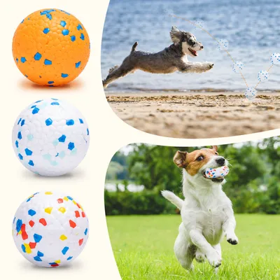 Nobleza Perro Pelota Nobleza Perro Pelota