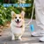 Nobleza Perro Bolsa para excrementos Nobleza Perro Bolsa para excrementos