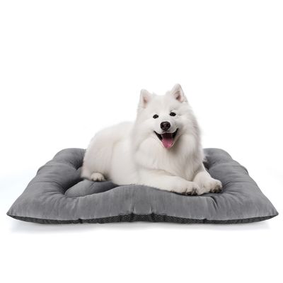 Nobleza Perro Cojín Cama Para Perro