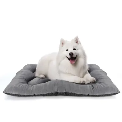 Nobleza Perro Cojín Cama Para Perro Nobleza Perro Cojín Cama Para Perro