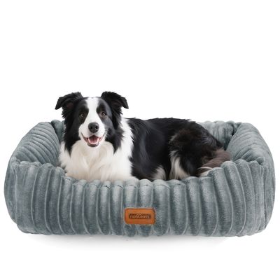 Nobleza Perro Cama