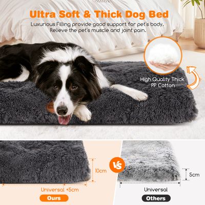 Nobleza Perro Cama Lavable