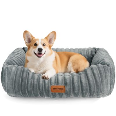Nobleza Perro Cama