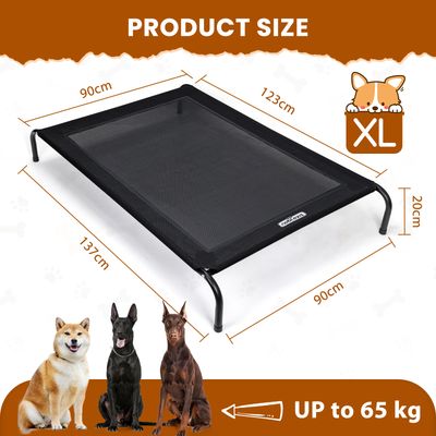 Nobleza Perro Cama de perro elevada
