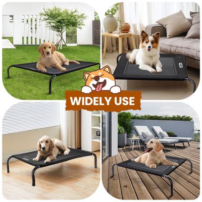 Nobleza Perro Cama de perro elevada