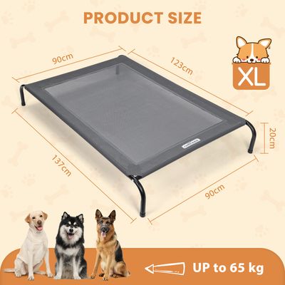Nobleza Perro Cama de perro elevada