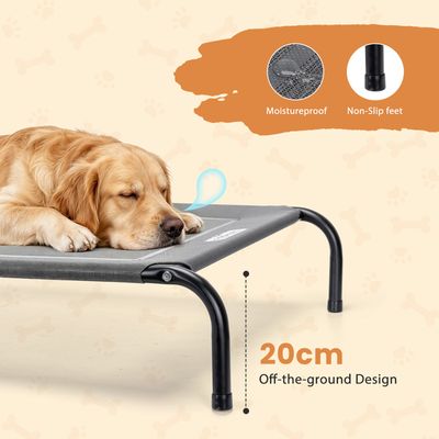 Nobleza Perro Cama de perro elevada