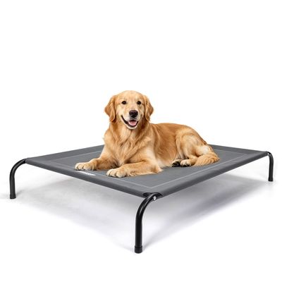 Nobleza Perro Cama de perro elevada