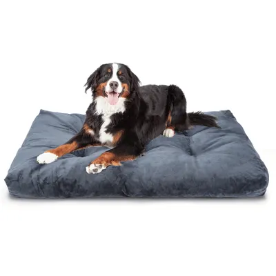 Nobleza Perro Cama Lavable