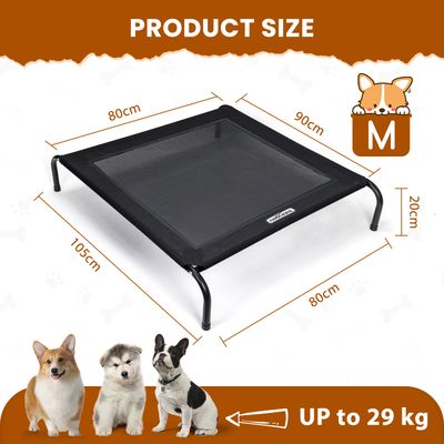 Nobleza Perro Cama de perro elevada