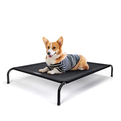Nobleza Perro Cama de perro elevada
