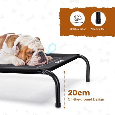 Nobleza Perro Cama de perro elevada