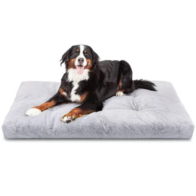Nobleza Perro Cama Lavable