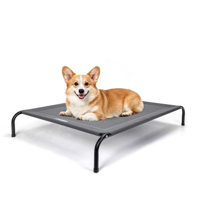 Nobleza Perro Cama de perro elevada