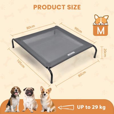 Nobleza Perro Cama de perro elevada
