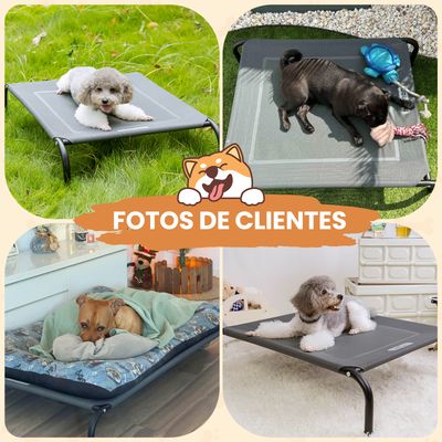 Nobleza Perro Cama de perro elevada