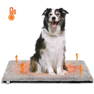 Nobleza Perro Cama