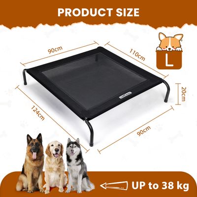 Nobleza Perro Cama de perro elevada