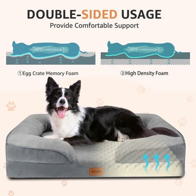 Nobleza Perro Cama