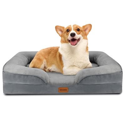 Nobleza Perro Cama