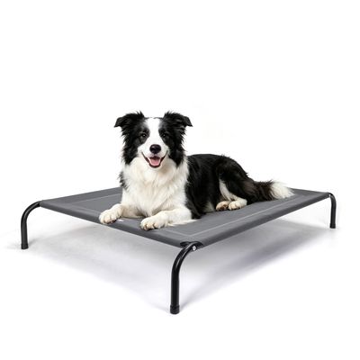 Nobleza Perro Cama de perro elevada