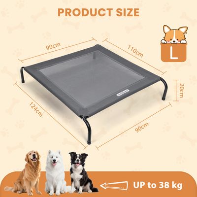 Nobleza Perro Cama de perro elevada
