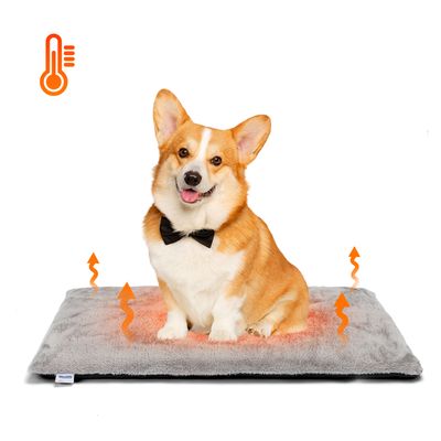 Nobleza Perro Cama