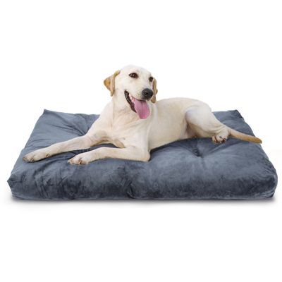 Nobleza Perro Cama Lavable