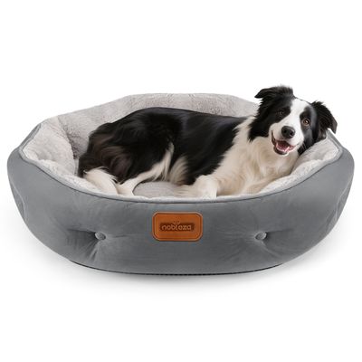 Nobleza Perro Cama