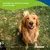 Canina Biotin Forte Tabletten