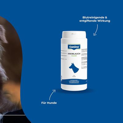 Canina Knoblauch Pulver