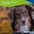 Canina Knoblauch Pulver Canina Knoblauch Pulver