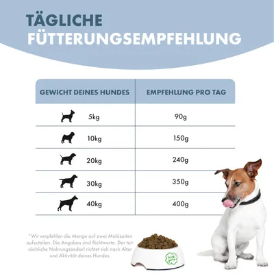 Irish Pure Hunde Adult Trockenfutter, Lachs mit Gemüse & Kelp-Alge