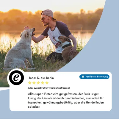 Irish Pure Hunde-Nassfutter Adult – Atlantik-Lachs mit Gemüse Irish Pure Hunde-Nassfutter Adult – Atlantik-Lachs mit Gemüse