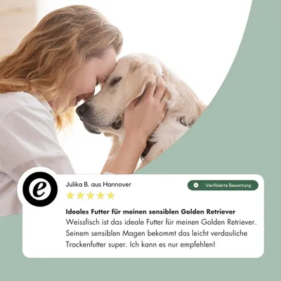 Irish Pure Hunde Adult Trockenfutter, Weißfisch mit Gemüse & Kelp-Alge Irish Pure Hunde Adult Trockenfutter, Weißfisch mit Gemüse & Kelp-Alge