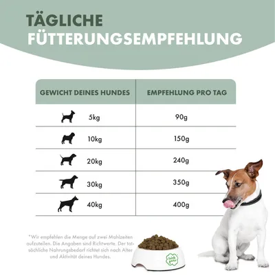 Irish Pure Hunde Adult Trockenfutter, Weißfisch mit Gemüse & Kelp-Alge Irish Pure Hunde Adult Trockenfutter, Weißfisch mit Gemüse & Kelp-Alge