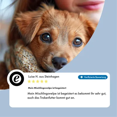 Irish Pure Hunde-Nassfutter Junior – Irisches Huhn mit Gemüse Irish Pure Hunde-Nassfutter Junior – Irisches Huhn mit Gemüse