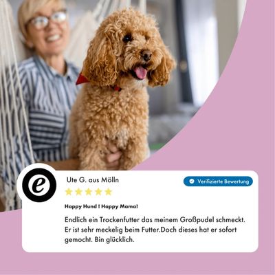 Irish Pure Hunde Adult Trockenfutter, Lamm & Huhn mit Gemüse & Kelp-Alge