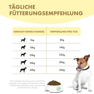 Irish Pure Hunde Senior Trockenfutter, Huhn mit Gemüse & Kelp-Alge Irish Pure Hunde Senior Trockenfutter, Huhn mit Gemüse & Kelp-Alge