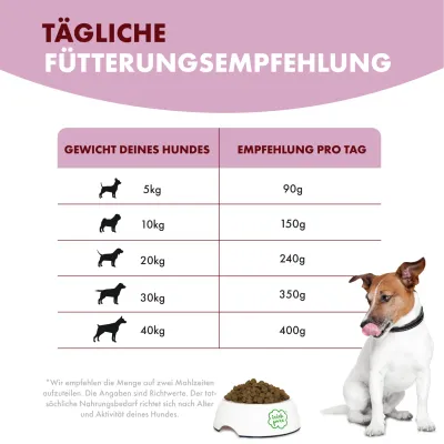 Irish Pure Hunde Adult Trockenfutter, Rind & Huhn mit Gemüse & Kelp-Alge
