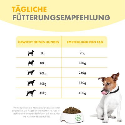 Irish Pure Hunde Adult Trockenfutter, Huhn mit Gemüse & Kelp-Alge