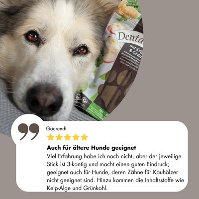 100% Veggie, Dental-Snack mit Kelp-Alge & Grünkohl