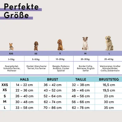 STUCH - Hundegeschirr - verstellbares Nylon Geschirr - gepolstert