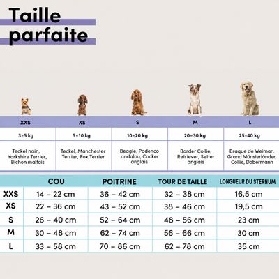 STUCH - Harnais pour chien - Harnais en nylon ajustable - Rembourré