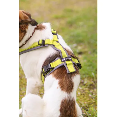 STUCH - Hundegeschirr - verstellbares Nylon Geschirr - gepolstert