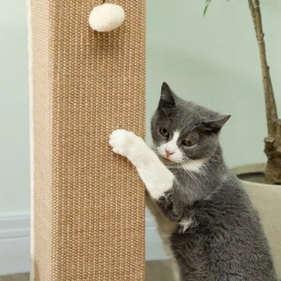 PawHut Kratzbaum PawHut Kratzbaum